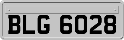 BLG6028
