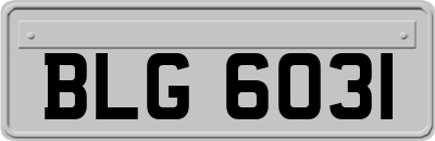 BLG6031