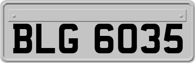 BLG6035