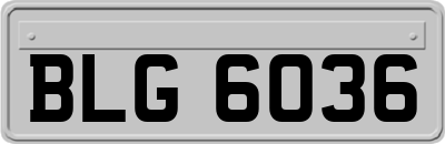 BLG6036