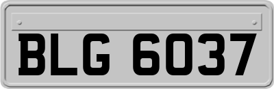 BLG6037