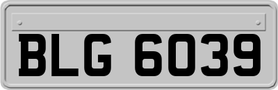 BLG6039