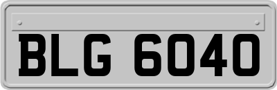 BLG6040