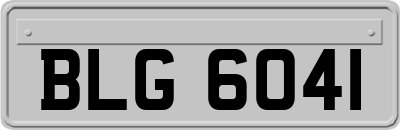 BLG6041