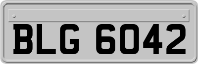 BLG6042