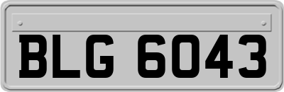 BLG6043