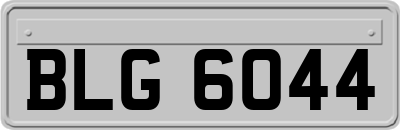 BLG6044