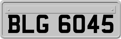 BLG6045