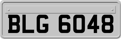 BLG6048