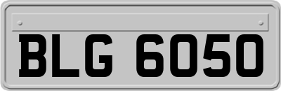 BLG6050