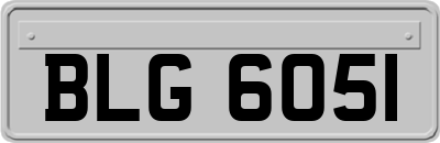 BLG6051
