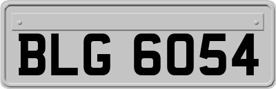 BLG6054