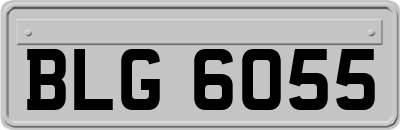 BLG6055