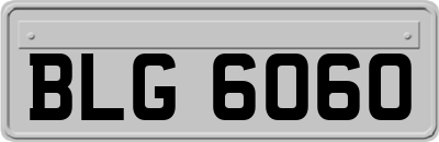 BLG6060