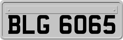 BLG6065