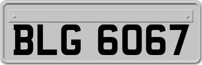 BLG6067