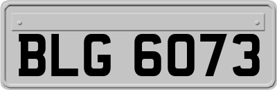 BLG6073