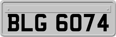 BLG6074