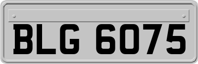 BLG6075