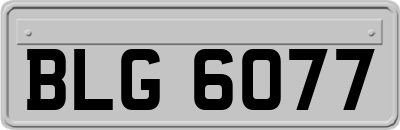 BLG6077