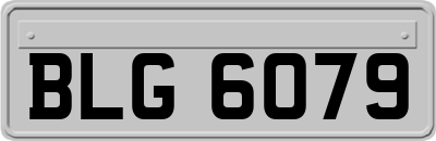 BLG6079