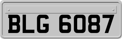 BLG6087