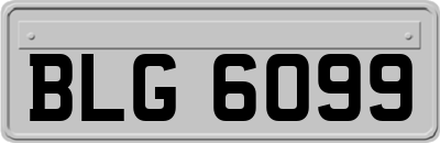 BLG6099