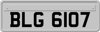 BLG6107
