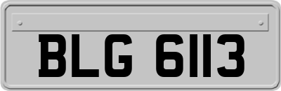 BLG6113
