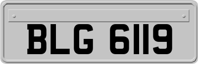 BLG6119