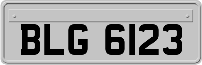 BLG6123