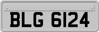 BLG6124