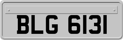 BLG6131
