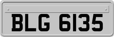 BLG6135