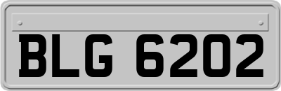 BLG6202