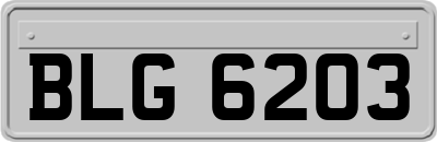 BLG6203