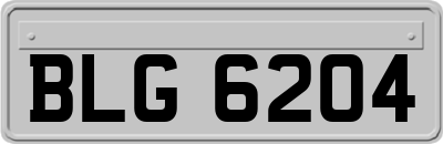BLG6204