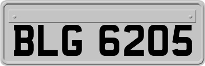 BLG6205