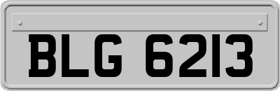 BLG6213