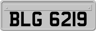 BLG6219