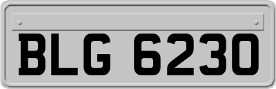 BLG6230