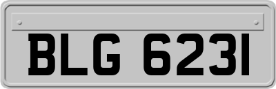 BLG6231