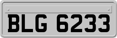 BLG6233