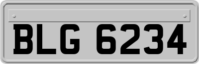 BLG6234