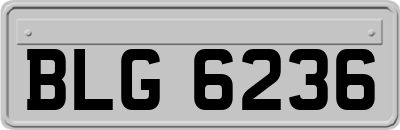 BLG6236