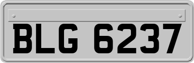 BLG6237