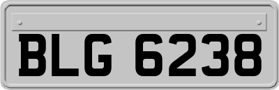 BLG6238
