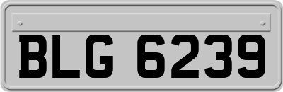 BLG6239