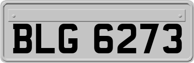 BLG6273