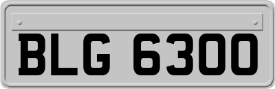 BLG6300